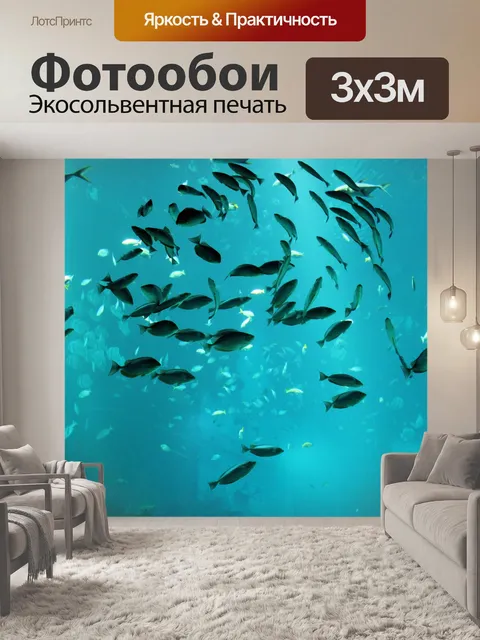 Фотообои Группа рыбы