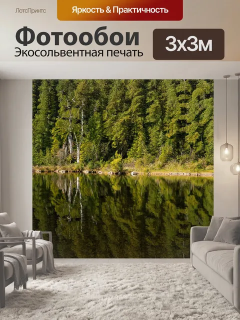Фотообои прозрачное озеро в лесу с отражением деревьев