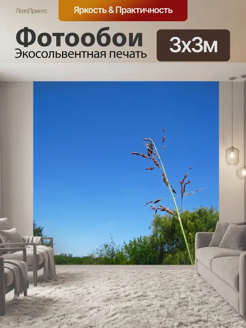 Фотообои посев травы против голубого неба