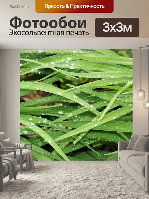 Фотообои Зеленые листья и капли дождя