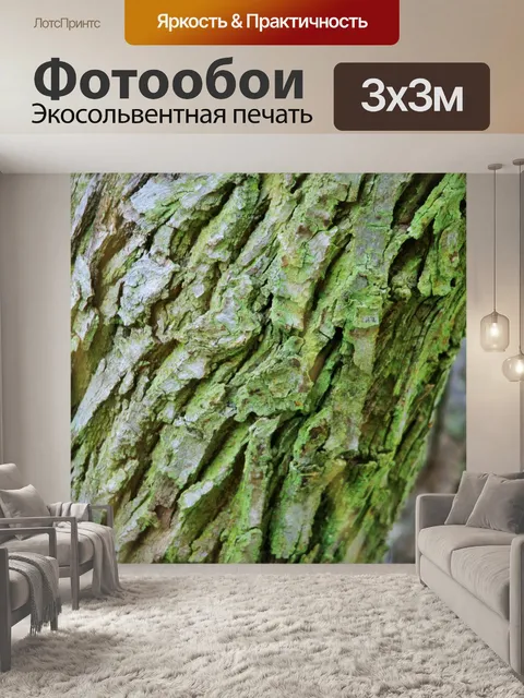 Фотообои японский изюм коры дерева