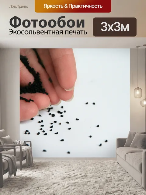 Фотообои Черные семена тмина на руке