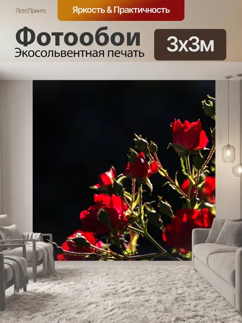Фотообои Темно-красные розы