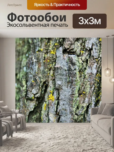 Фотообои японский изюм коры дерева