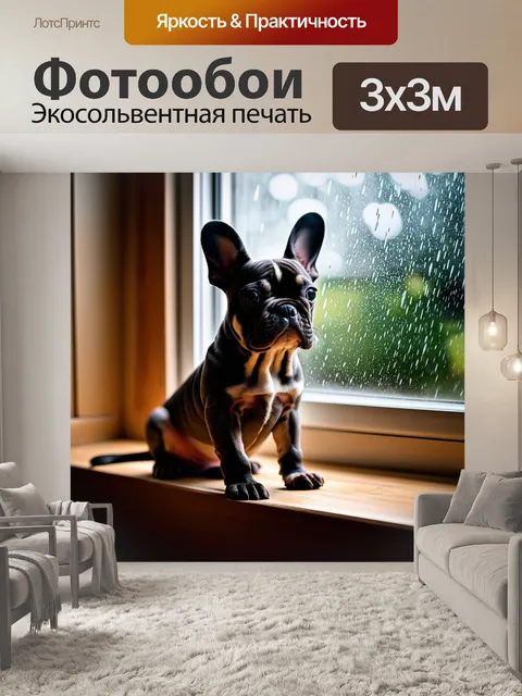 Фотообои французский бульдог щенок, сидящий на подоконнике в уютной комнате, смотрит на дождь за окном