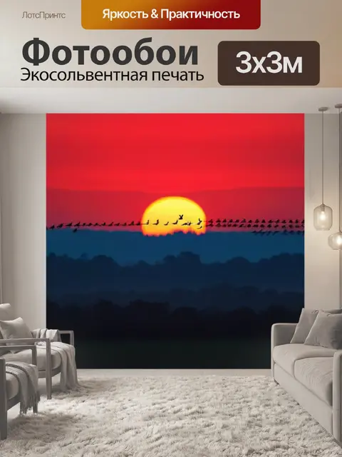 Фотообои птицы, наслаждающиеся свободой на фоне красного рассвета