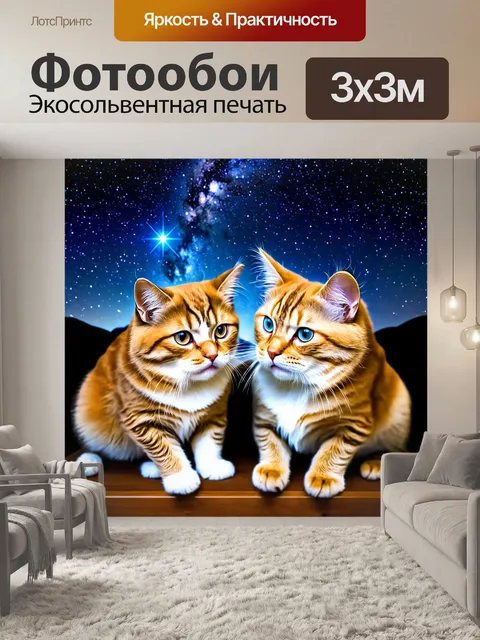 Фотообои кошки, изучающие астрономию под звездным небом
