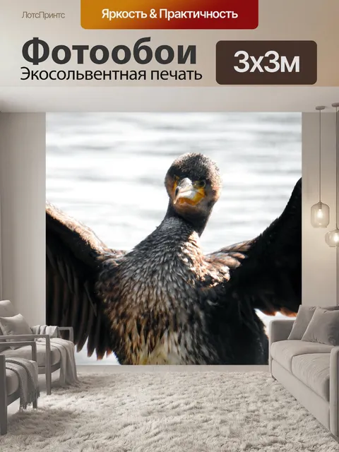 Фотообои Баклан