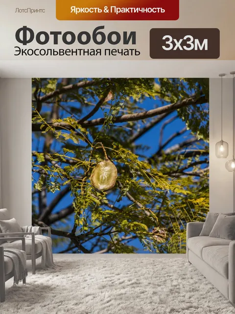 Фотообои Красочный семенной стручок на дереве