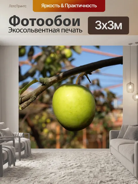 Фотообои Фрукты