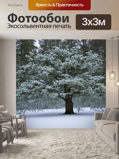 Фотообои дерева в зимнем лесу