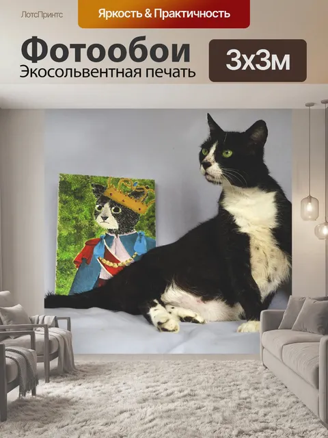 Фотообои Кошка