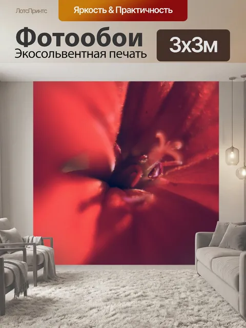 Фотообои Красный цветок