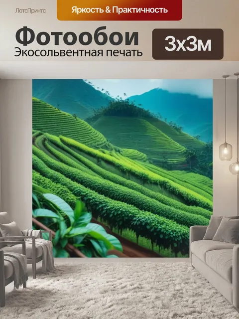 Фотообои путешествие по кофейным регионам