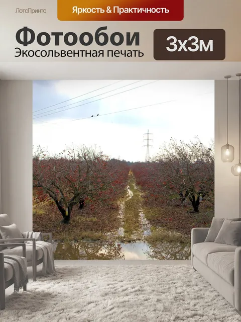 Фотообои Зимний сад