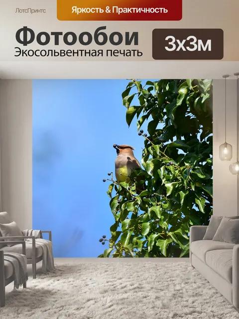 Фотообои Животное
