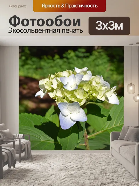 Фотообои Синий и желтый гортензия