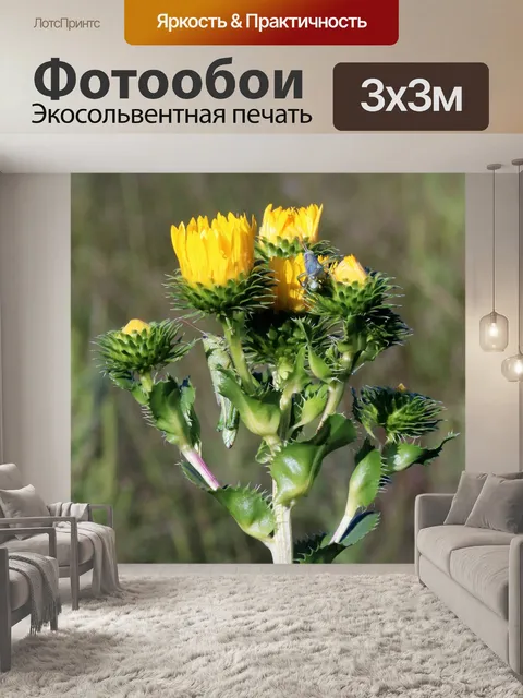 Фотообои Желтые полевые цветы и кузнечики
