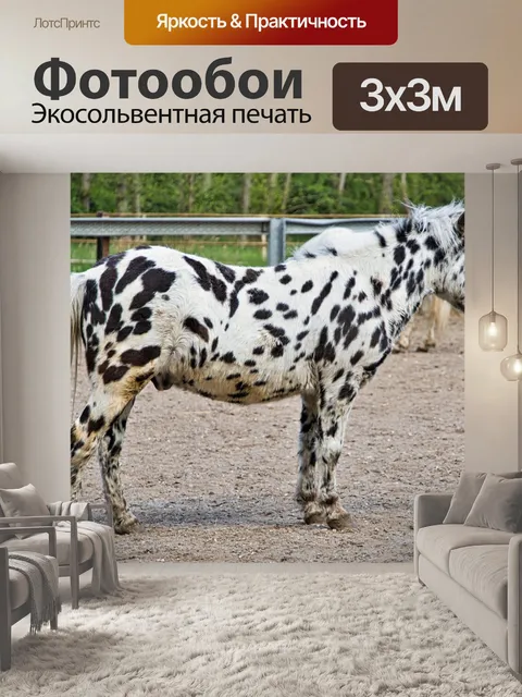 Фотообои Пони фермы