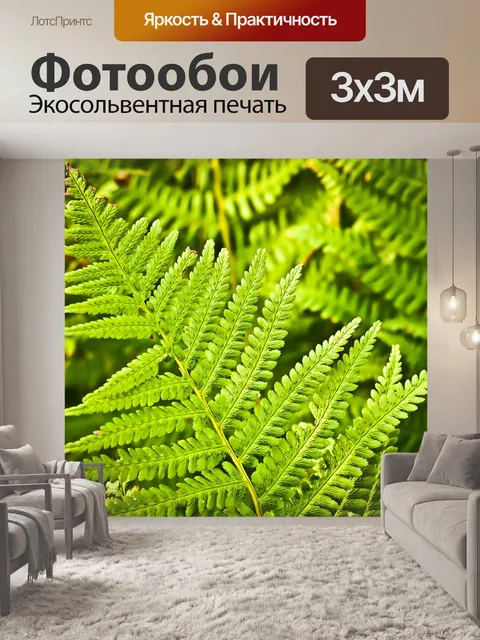 Фотообои Папоротник