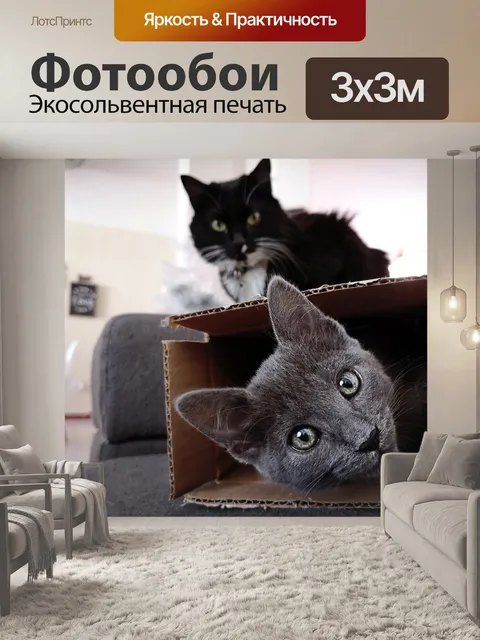 Фотообои Кошки