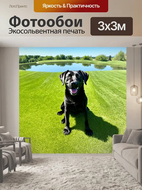 Фотообои пейзаж, в котором черный лабрадор ретривер играет на зелёной траве под ярким солнечным светом, с весёлым…