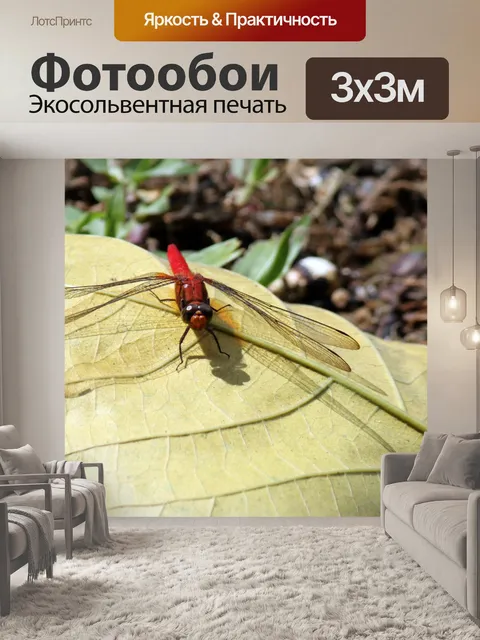 Фотообои красные стрекозы на желтый отпуск