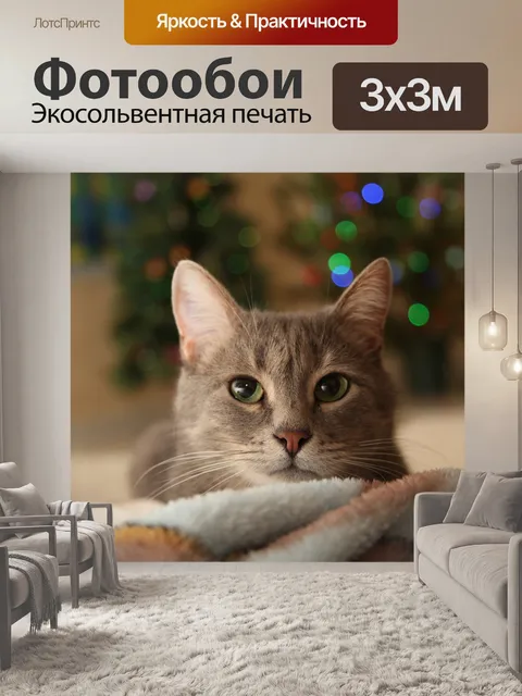 Фотообои Новогодний кот