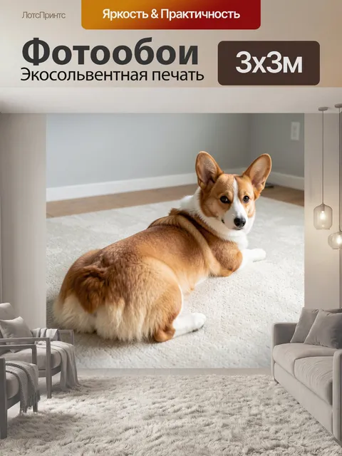 300 × 300 см · Экосольвентная печать