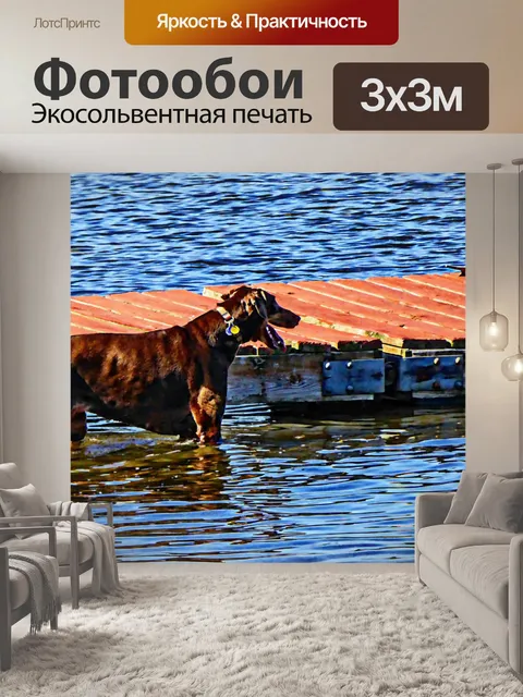 Фотообои Собака в воде