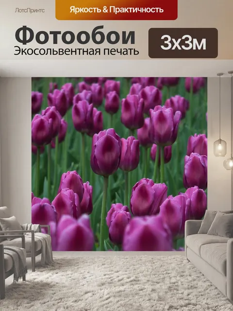 Фотообои Тюльпаны