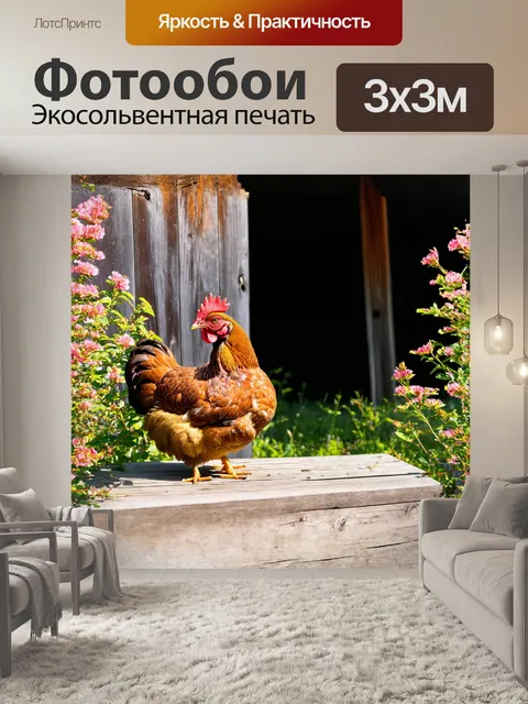 Фотообои на изображении курица, сидящая на крыльце старого деревянного сарая, окруженного цветущими кустами