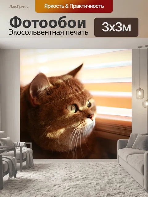 Фотообои Кошка