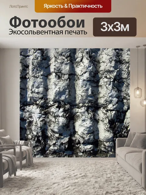 Фотообои Ракушечник