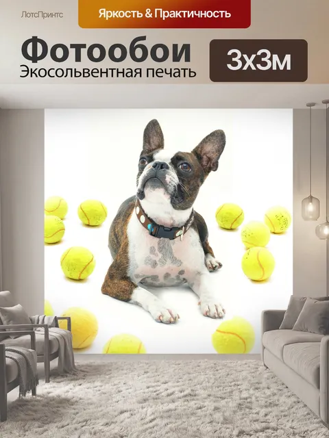 Фотообои Джилли в