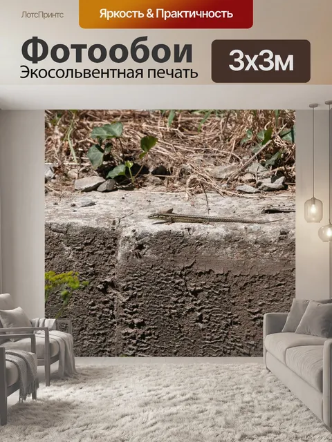 Фотообои Зеленая ящерица на стене