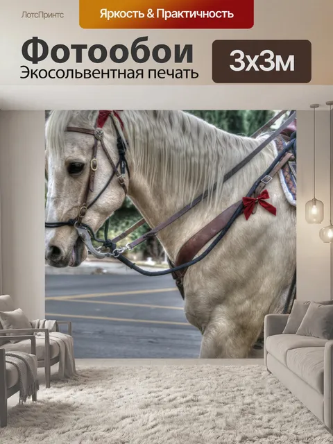 Фотообои Парадная лошадь