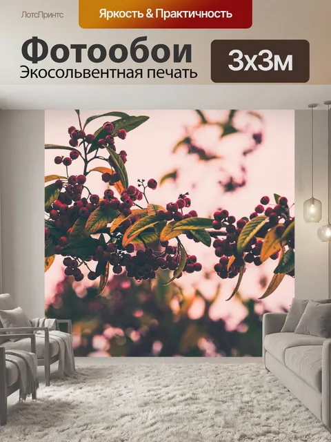 Фотообои Рябина