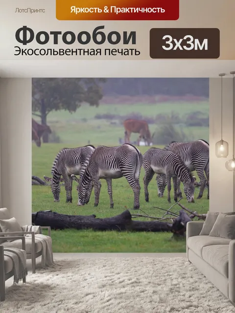 Фотообои Зебры