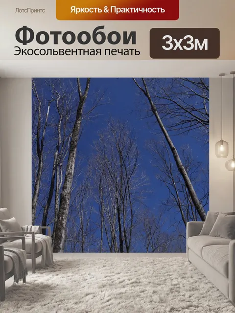 Фотообои Весна