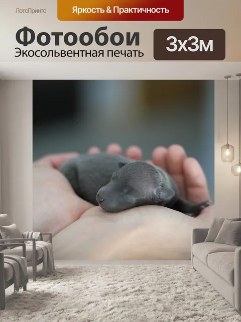 Фотообои Новорожденный