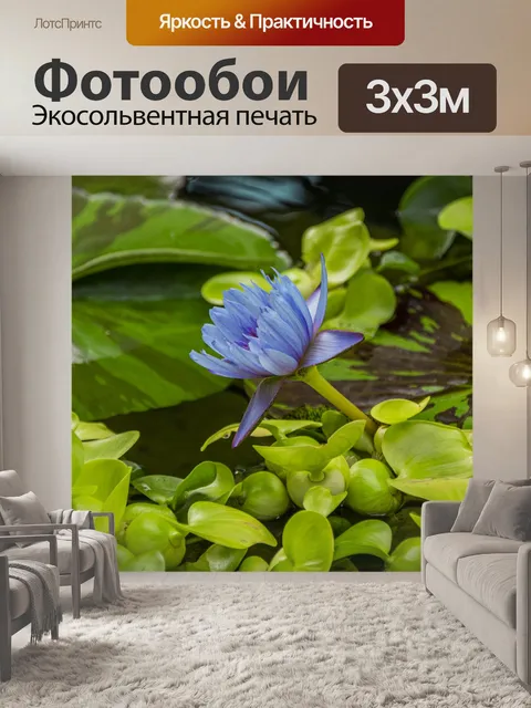 Фотообои Пруд цветок