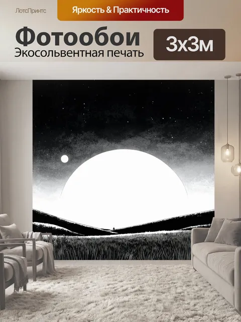 Фотообои ночь в стиле манга, нарисованное в чёрно-белом стиле, где луна освещает пейзаж с контрастным светом и тенью