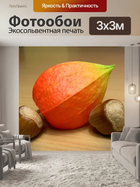 Фотообои Лесной орех