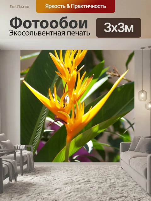 Фотообои Гоа цветов - желтый