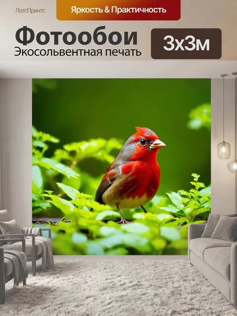 Фотообои красный воробей на фоне зелени, его пухлая грудка контрастирует с яркими цветами природы