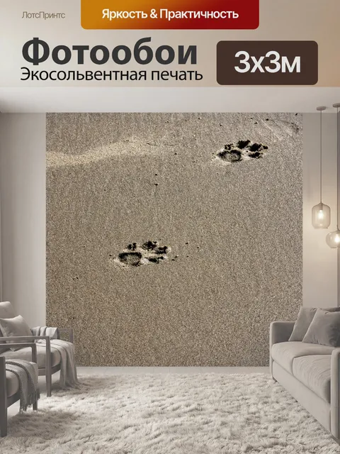 Фотообои Отпечатки Собачьих Лап