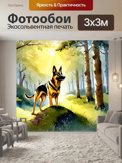 Фотообои сцена в лесу, где немецкая овчарка стоит на пригорке, внимательно слушая звуки природы