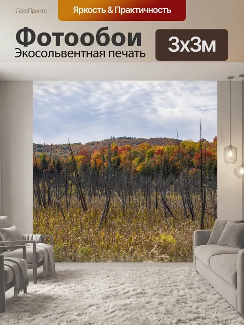 Фотообои Осеннее поле