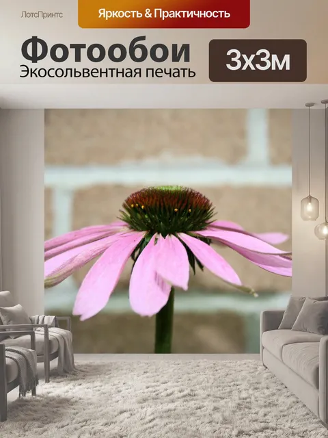Фотообои Цветок